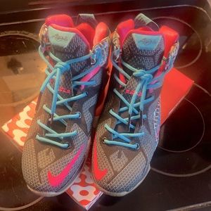 Pre Loved Nike Lebron 12 “23 chromosomes”